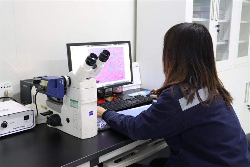 綠色智造，引領(lǐng)未來(lái)！明泰鋁業(yè)產(chǎn)品結(jié)構(gòu)升級(jí)與再生鋁戰(zhàn)略深化之路